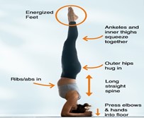 YOGA IMAGE 8
